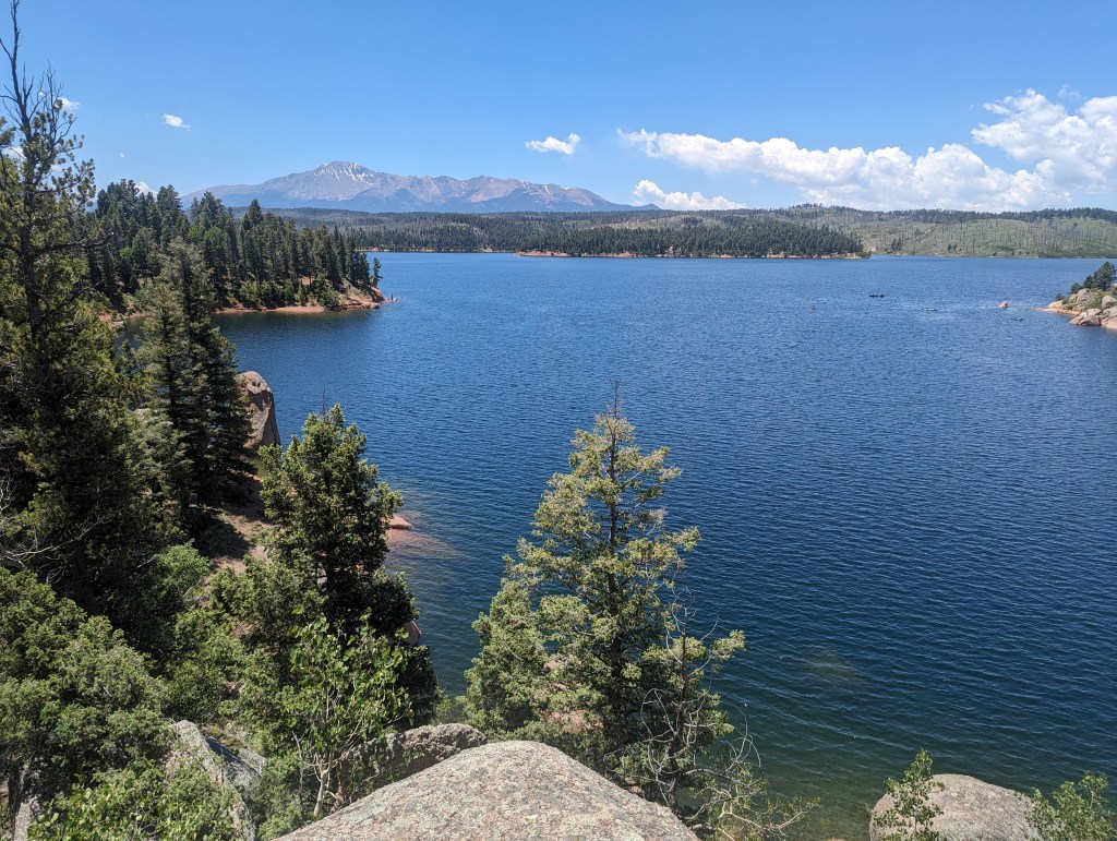 Navigating the Colorado Springs Real Estate&nbsp;Market